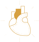 Cardiovascular Icon Gold | Bonasana Health HK