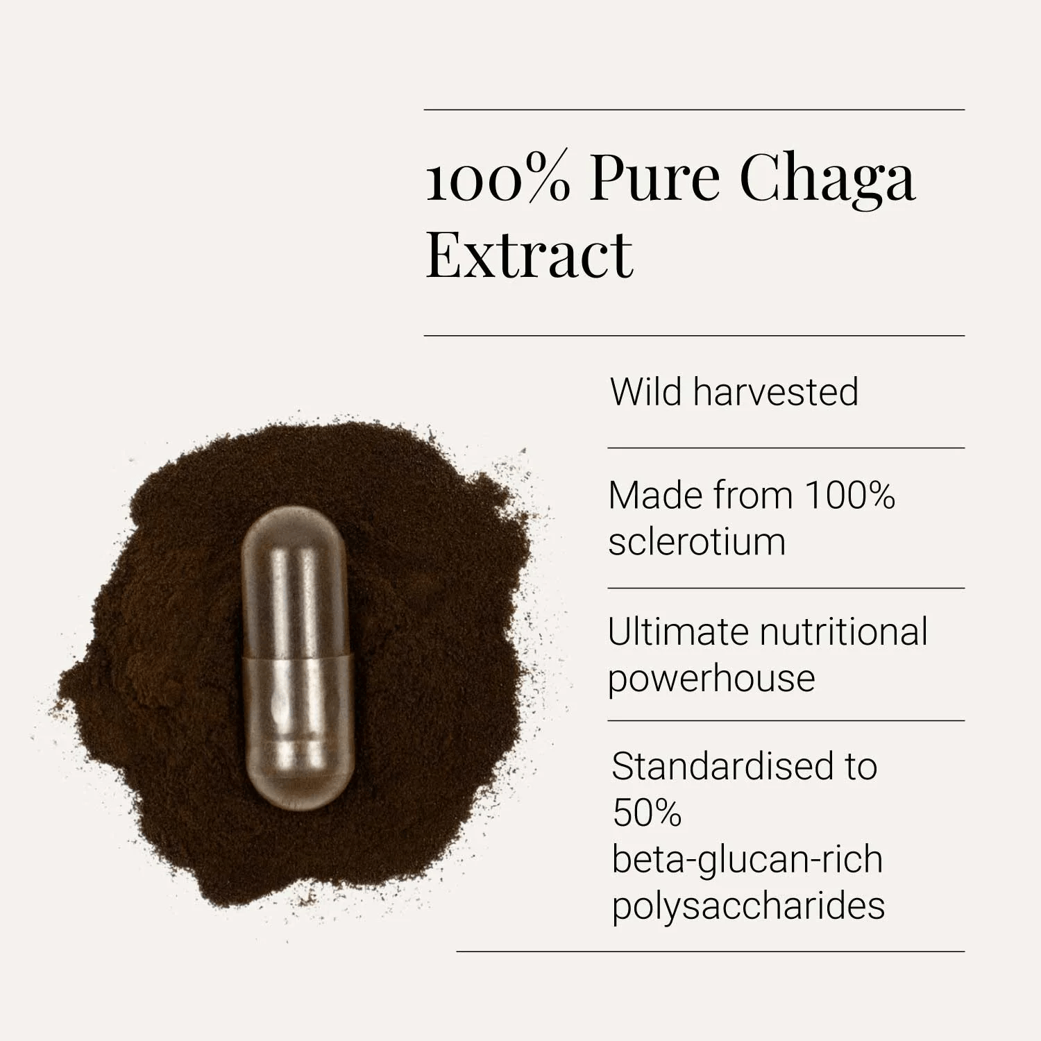 Chaga Extract 60caps