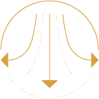 Golden icon indicating Detox Supplements from Bonasana Health