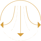 Detox Icon Gold | Bonasana Health HK