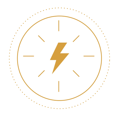 Gold Icon for Bonasana Health Energy Metabolism supplement