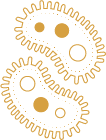 Gold icon indicating Microbial Balance Supplements from Bonasana Health