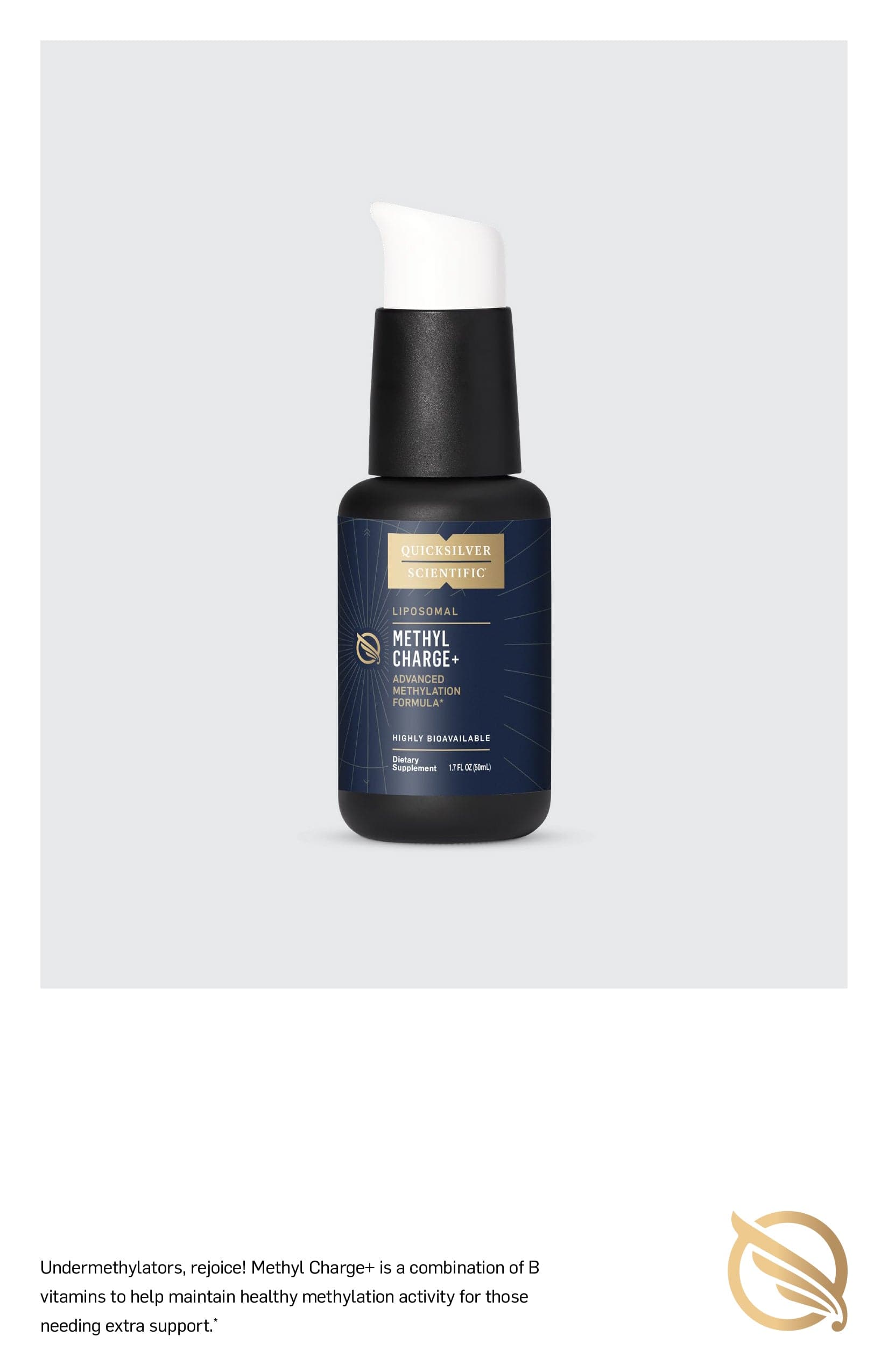 Quicksilver Scientific Methyl Charge HK