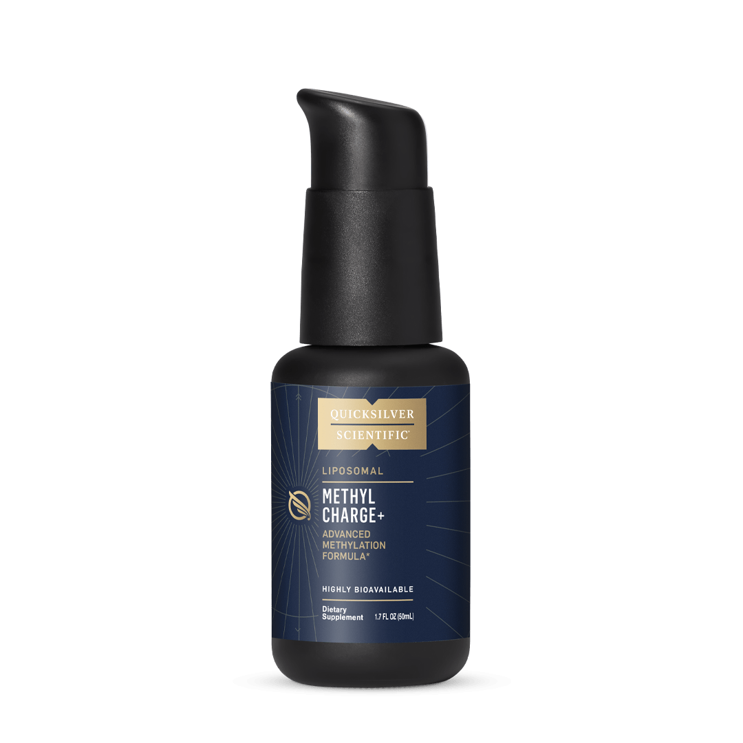 Quicksilver Scientific Methyl Charge HK