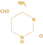 Golden icon indicating Methylation supplements from Bonasana Health
